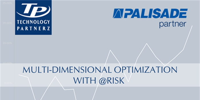 Multi-Dimensional Portfolio Optimization with @RISK